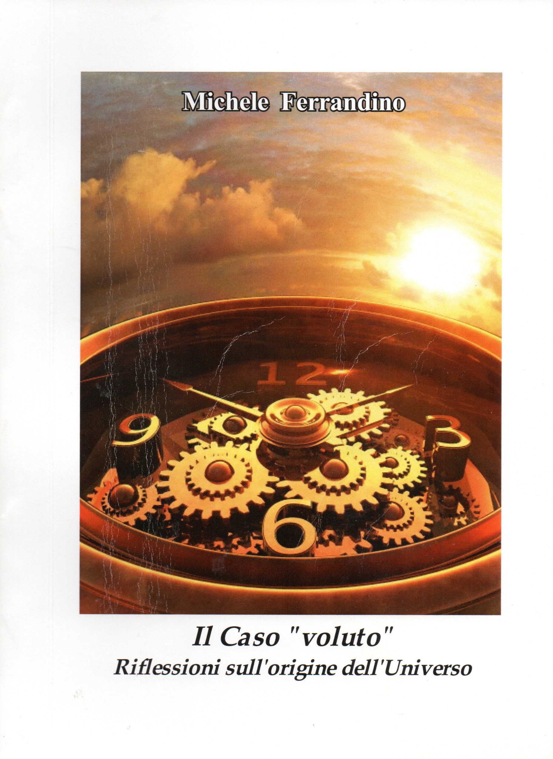 Copertina Il caso voluto